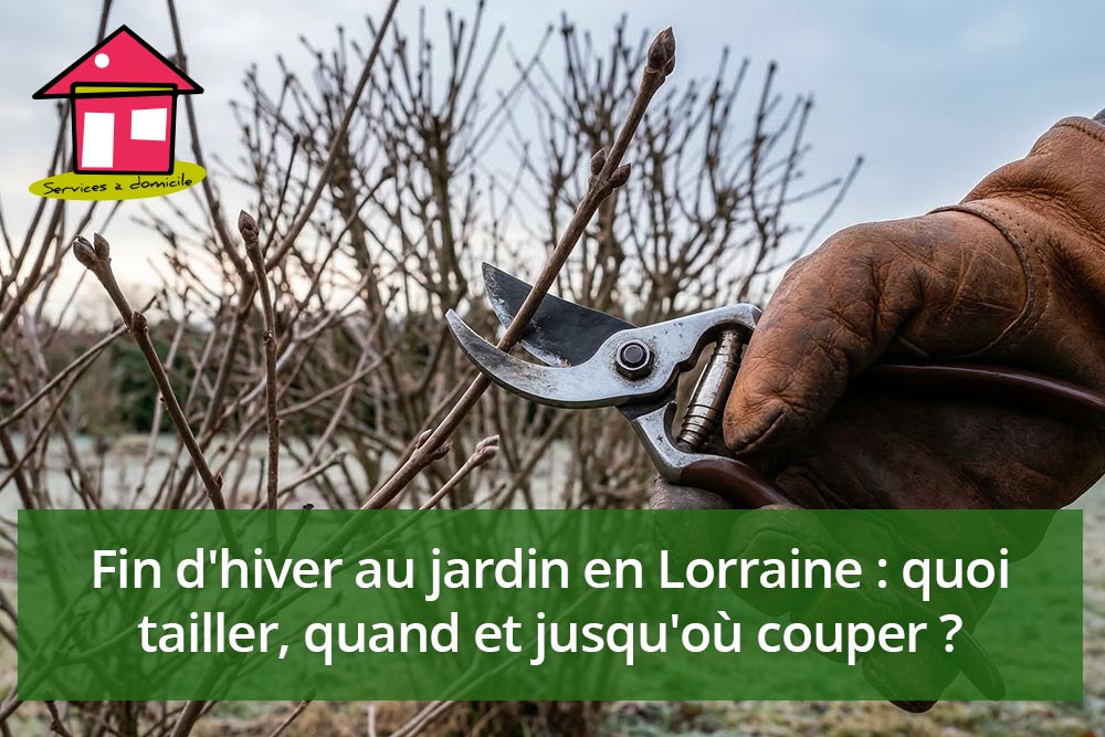 Fin d&rsquo;hiver au jardin en Lorraine : quoi tailler, quand et jusqu&rsquo;où couper ?