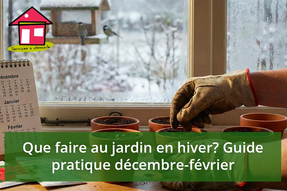 Que faire au jardin en hiver en Lorraine ? Guide pratique