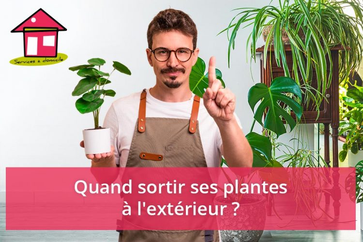 Comment faire son engrais maison à partir de peau de banane ? - Une
